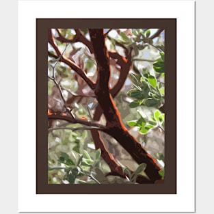 Manzanita Backlight Posters and Art